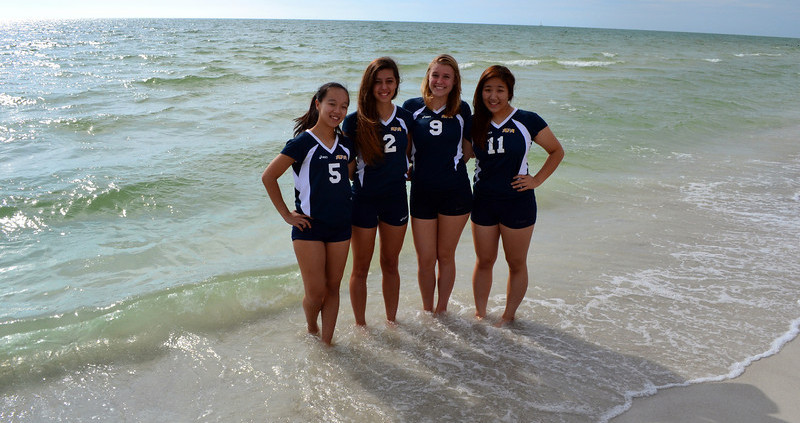 Volleyball players at beach