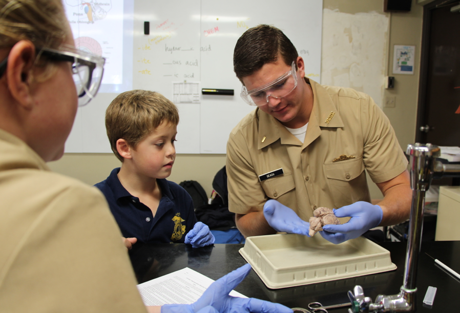 lower-school-upper-school-science-brains2