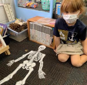 1st grade halloween skeleton