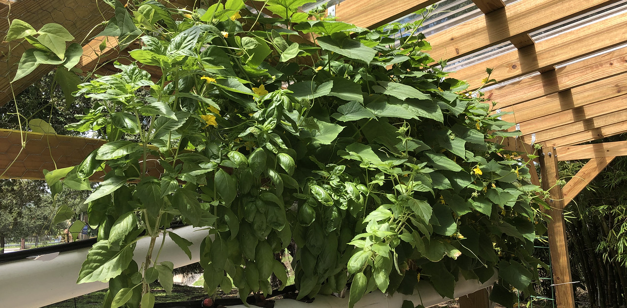 Upper School STEM and Engineering Hydroponic System