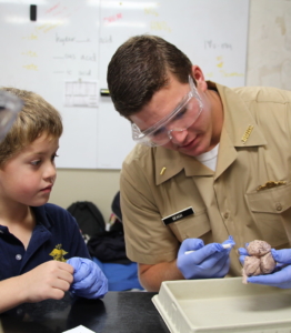 Lower School with Upper School Dissecting Sheep Brains Science Classroom Collaboration