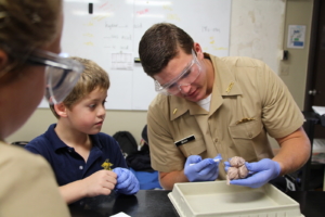 Lower School with Upper School Dissecting Sheep Brains Science Classroom Collaboration